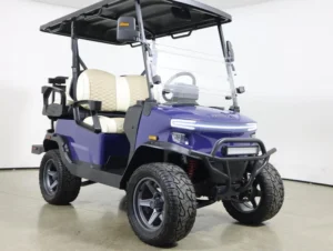 Denago EV Nomad XL Lithium 4 Passenger Golf Cart 2026 for Sale(Blue) (3)