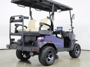 Denago EV Nomad XL Lithium 4 Passenger Golf Cart 2026 for Sale(Blue) (6)