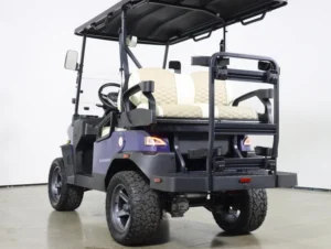 Denago EV Nomad XL Lithium 4 Passenger Golf Cart 2026 for Sale(Blue) (8)